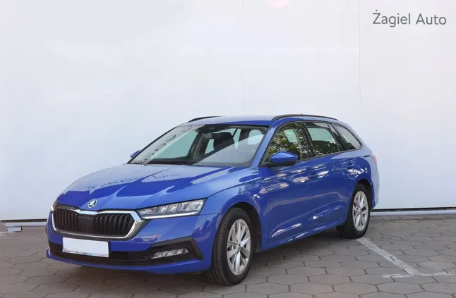 Skoda Octavia cena 79900 przebieg: 59137, rok produkcji 2022 z Biłgoraj małe 172